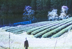 Cestopisná přednáška s ochutnávkou čajů