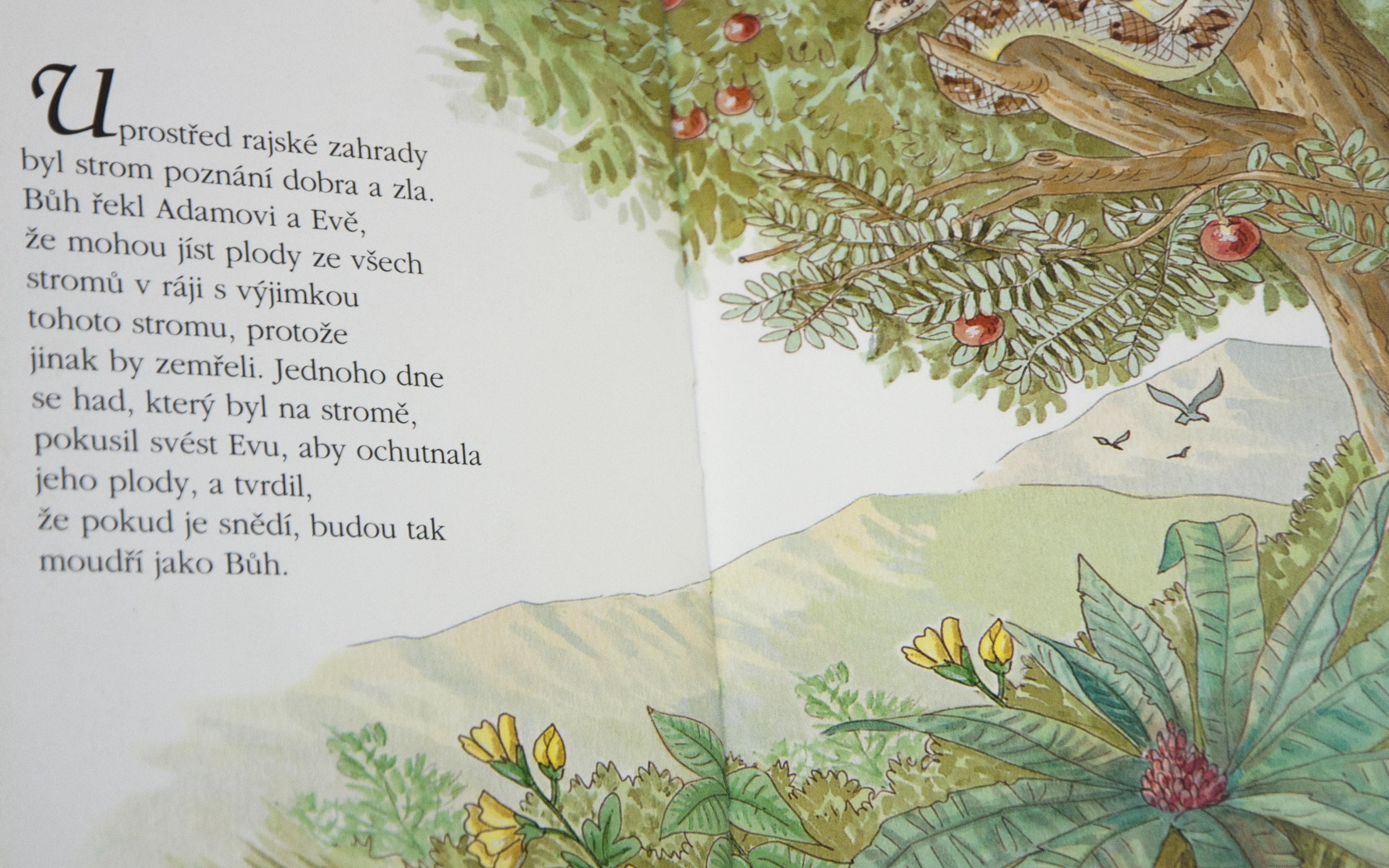 Foto: Beseda o knize knih