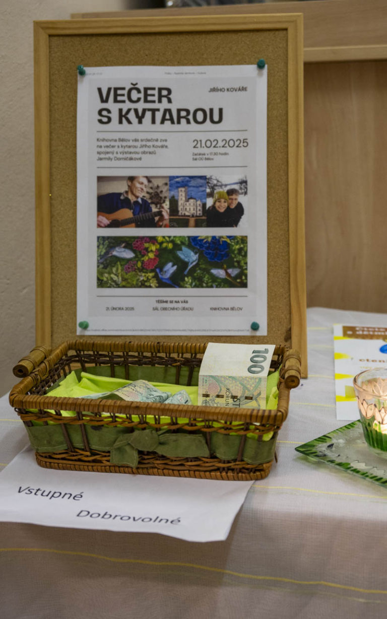 Večer s kytarou
