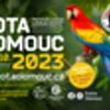 Olomouc: Výstava exotického a okrasného ptactva