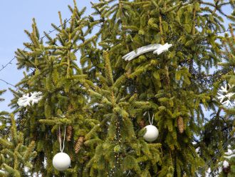 Zdobení vánočního stromu