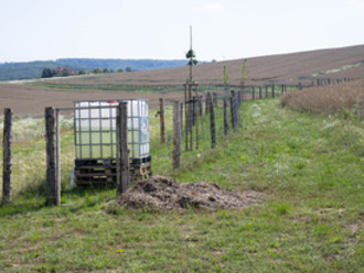 Péče o zeleň