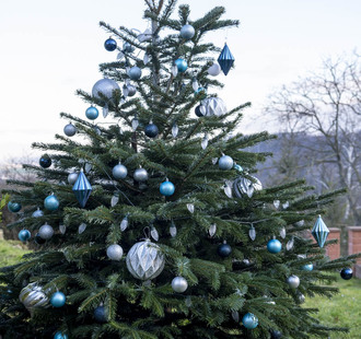 Zpívání koled, 2025