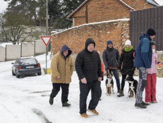 Novoroční procházka