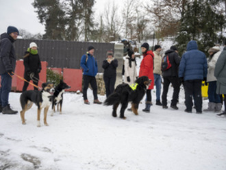 Novoroční procházka