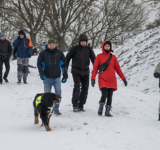 Novoroční procházka