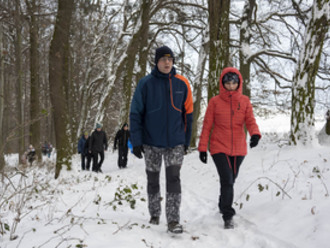 Novoroční procházka