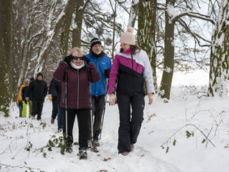 Novoroční procházka