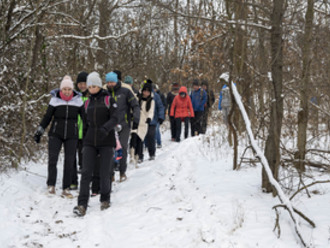 Novoroční procházka