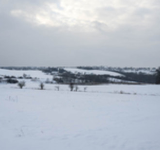 Novoroční procházka