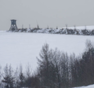 Novoroční procházka