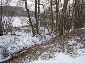 Novoroční procházka