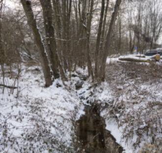 Novoroční procházka