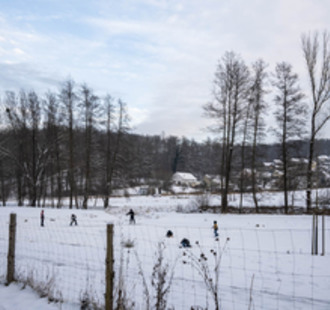 Novoroční procházka