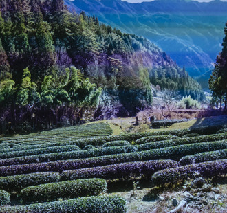 Cestopisná přednáška s ochutnávkou čaje