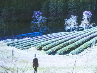 Cestopisná přednáška s ochutnávkou čaje