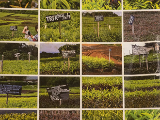 Cestopisná přednáška s ochutnávkou čaje