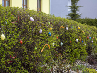 Velikonoční výzdoba