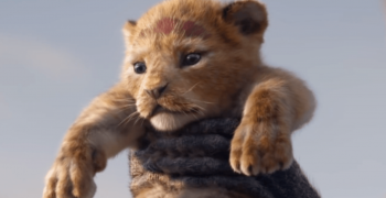Film: Lví král