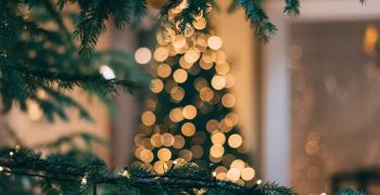 Pozvánka: Rozsvícení vánočního stromku