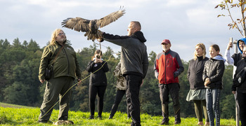 Ukázka dravých ptáků