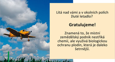 Žlutý čmelák chrání vaše zdraví