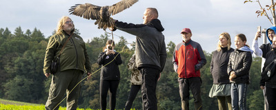 Ukázka dravých ptáků