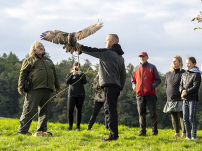 Ukázka dravých ptáků
