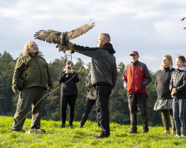 Ukázka dravých ptáků