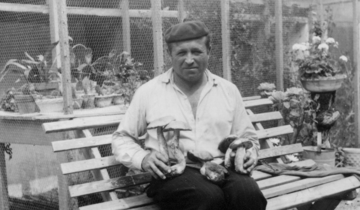 František Brázdil