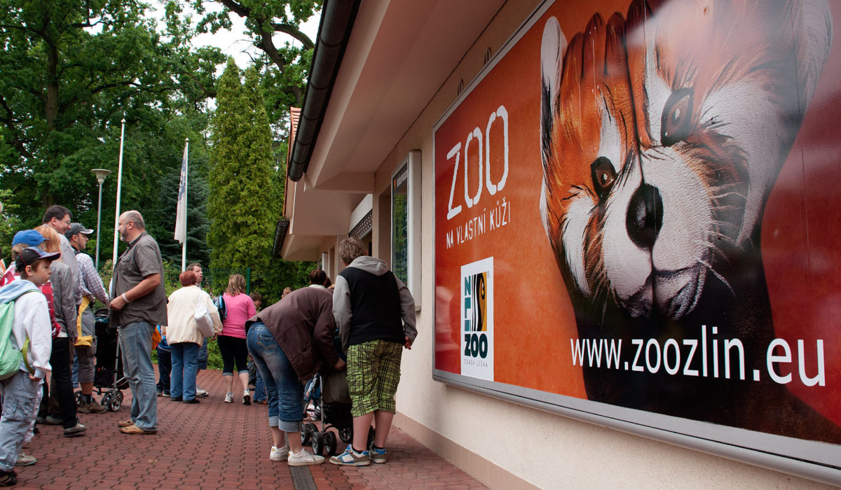 Výlet do Zoo