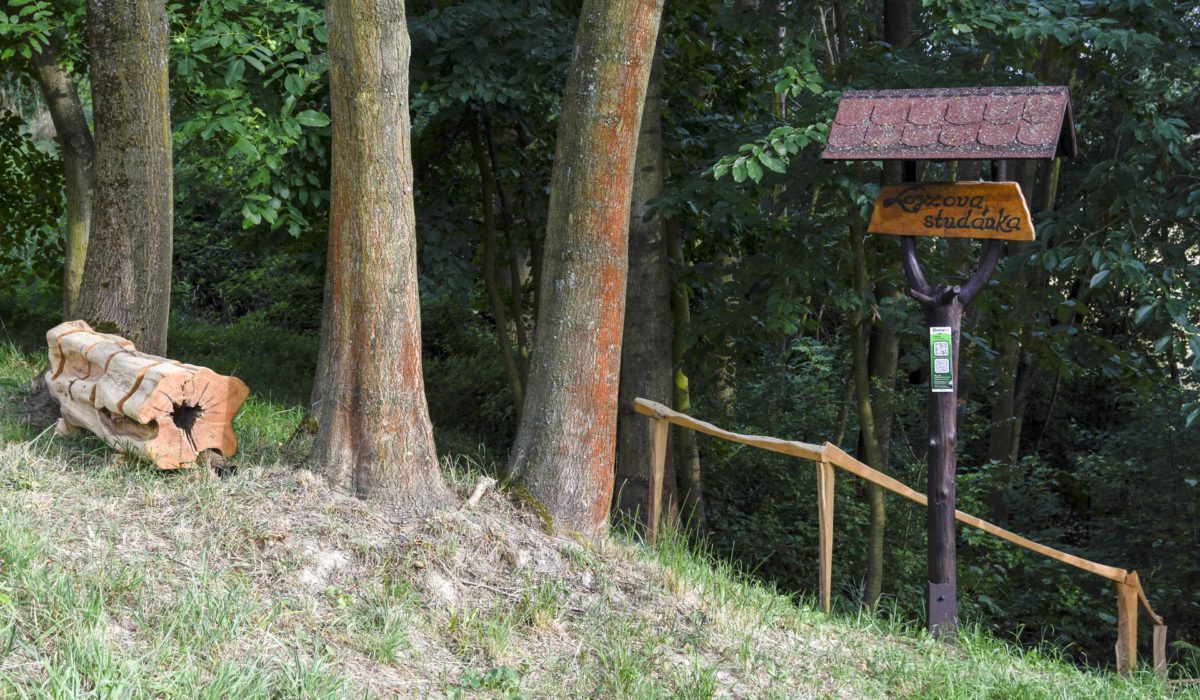 Lojzova studánka