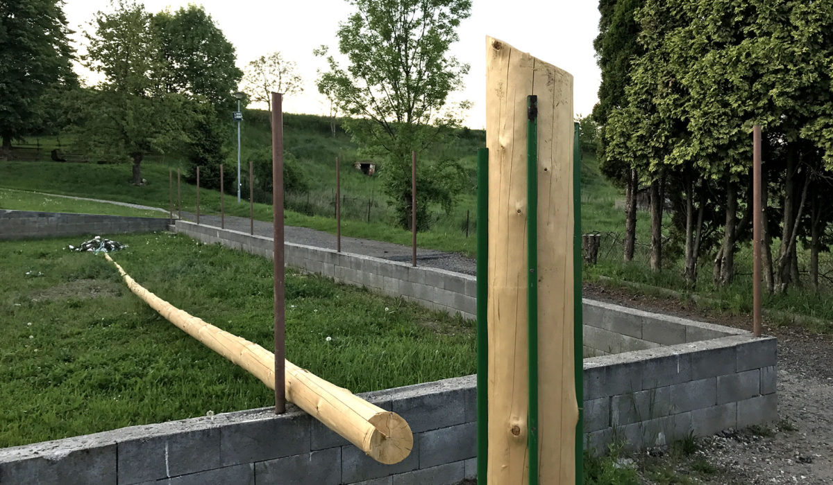 Pokácená májka