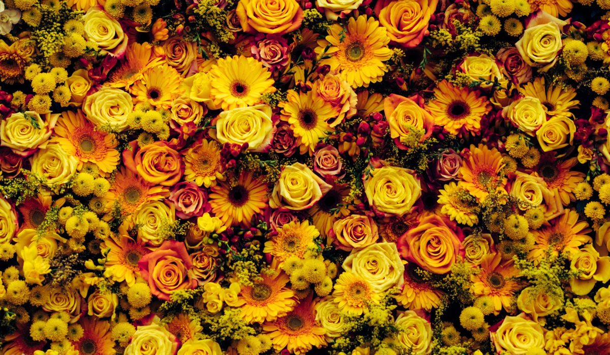 Flora Olomouc