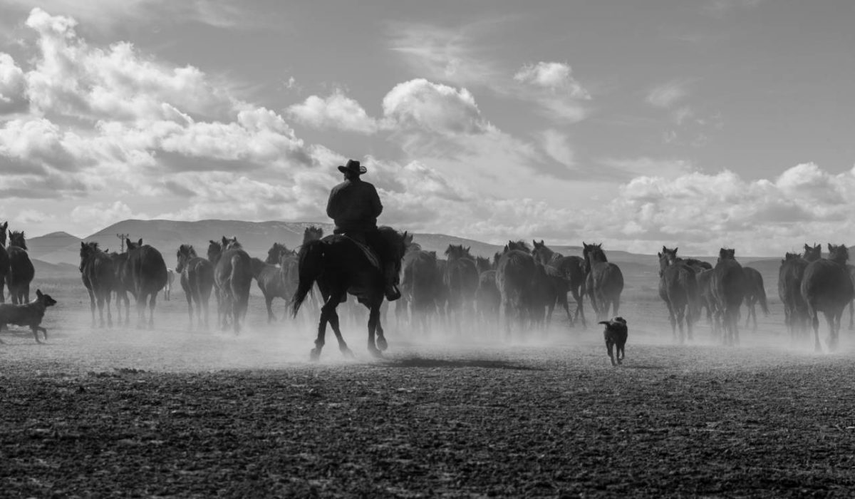 Czech made western