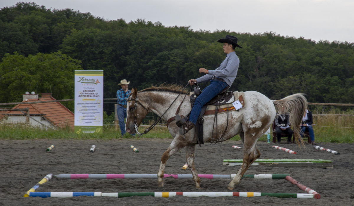 Pozvánka: Jackpot Trail ŽLUTAVA