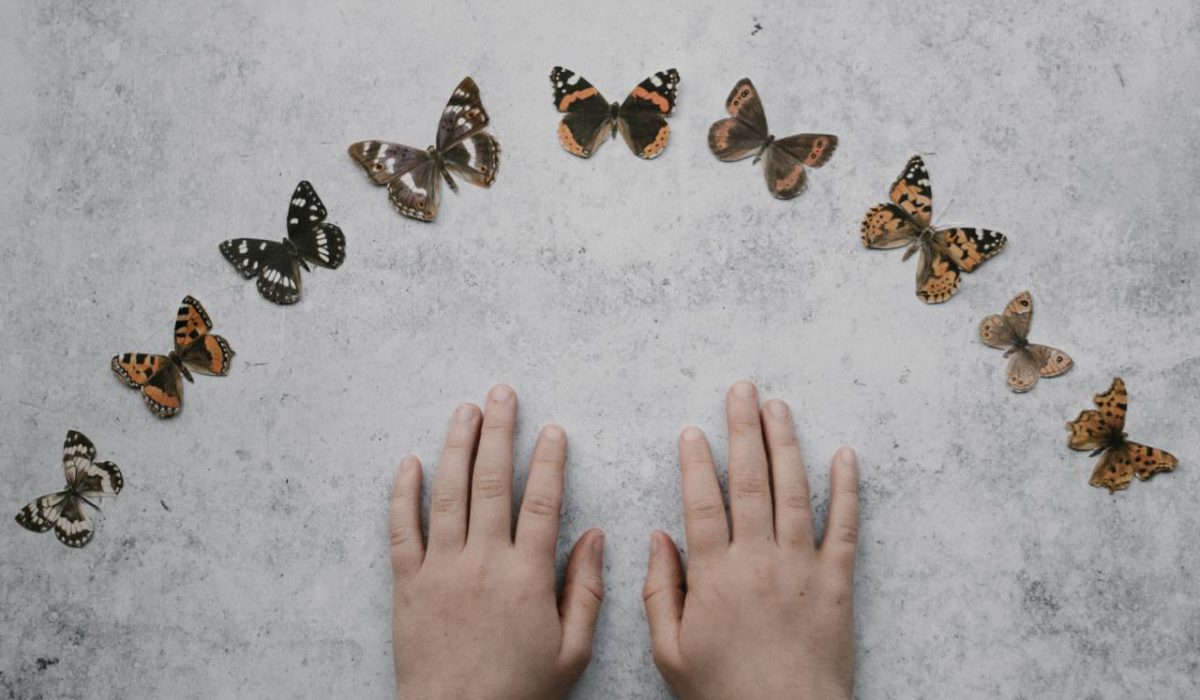 Entomologický výměnný den a výstava