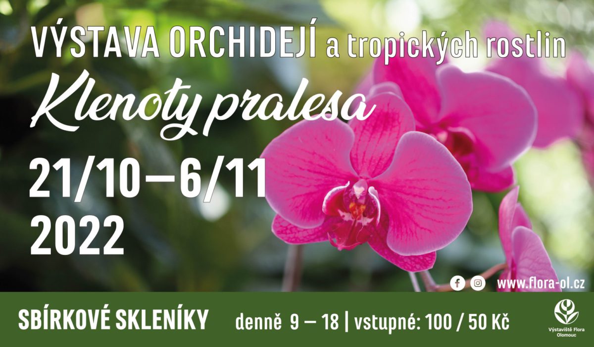 Klenoty pralesa
