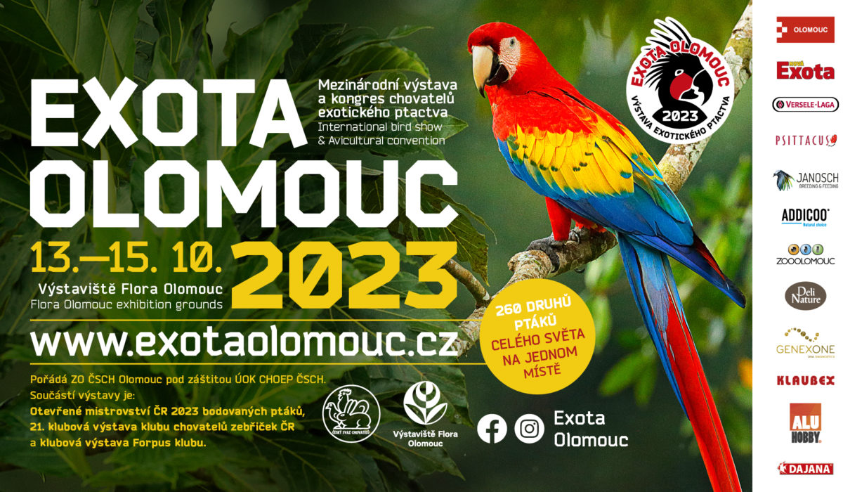 Olomouc: Výstava exotického a okrasného ptactva