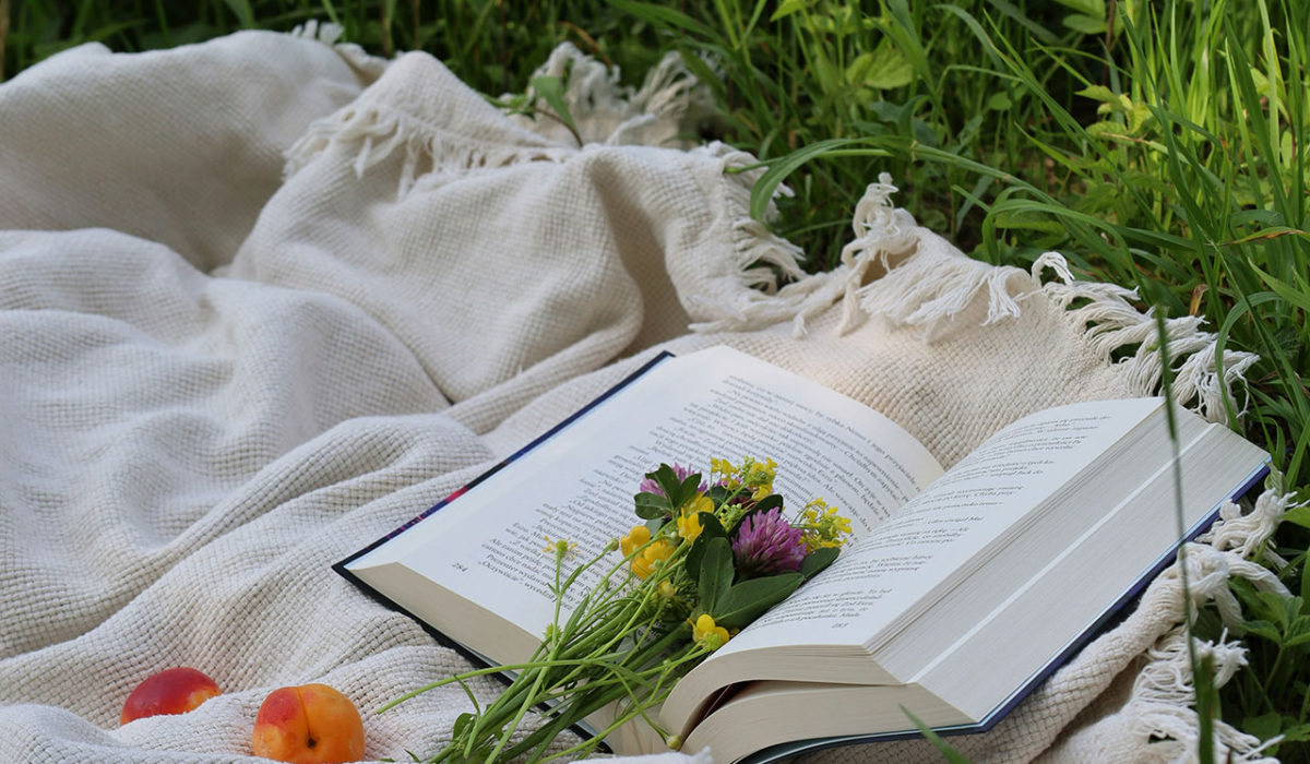 Knihovna: Změna otevírací doby od srpna ’26