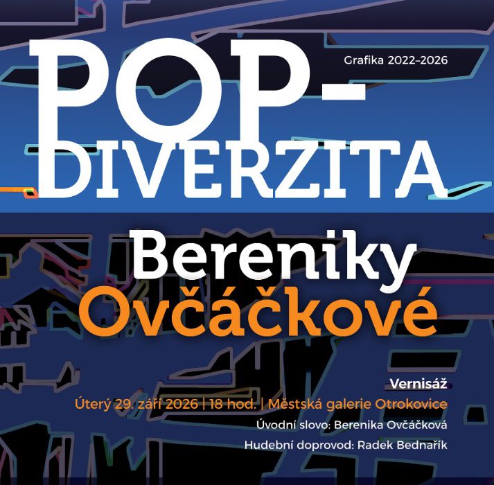Výstava Pop-diverzita