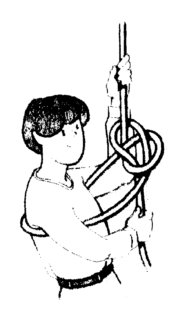 2015-08-24-draci