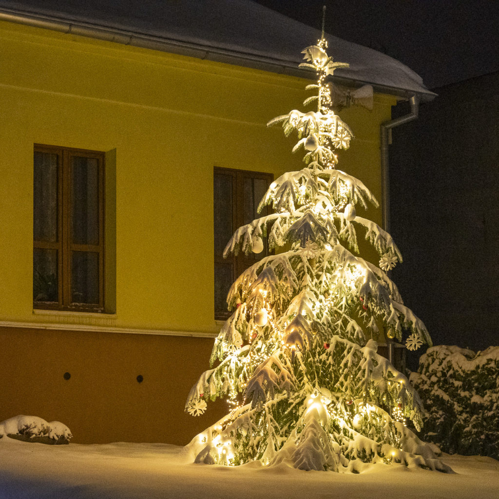 23-12-02 pochuzka mikulas-8192