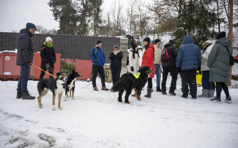 26-01-10 Prochazka-0297