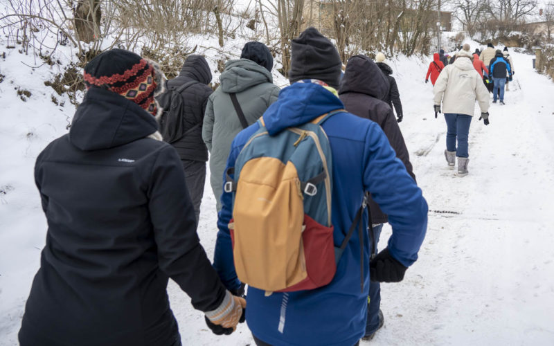 26-01-10 Prochazka-0347
