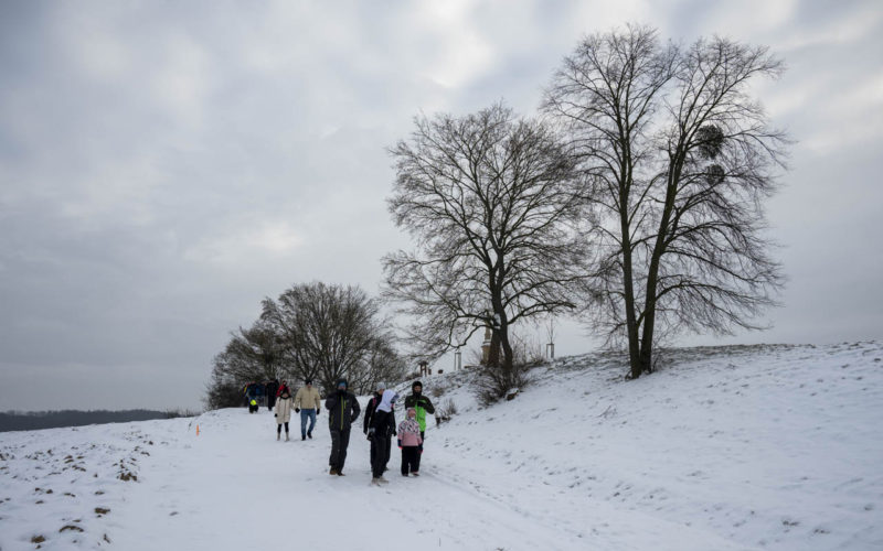 26-01-10 Prochazka-0354