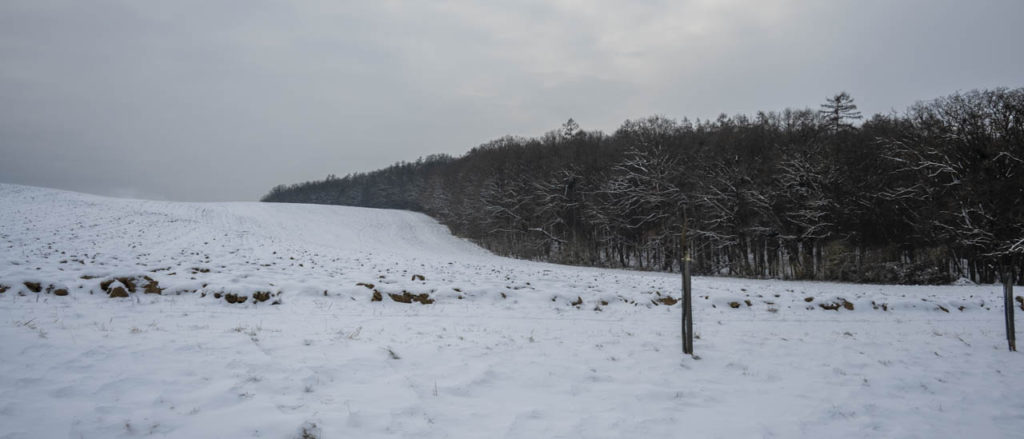 26-01-10 Prochazka-0379