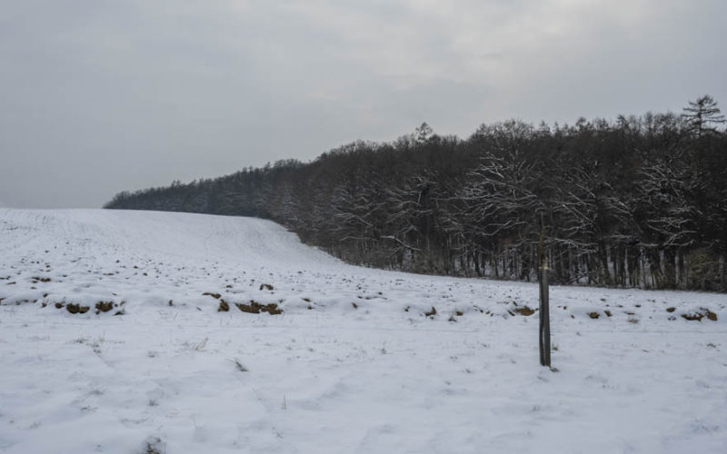 26-01-10 Prochazka-0379