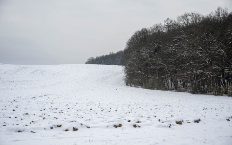 26-01-10 Prochazka-0389