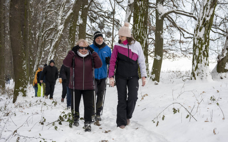 26-01-10 Prochazka-0452